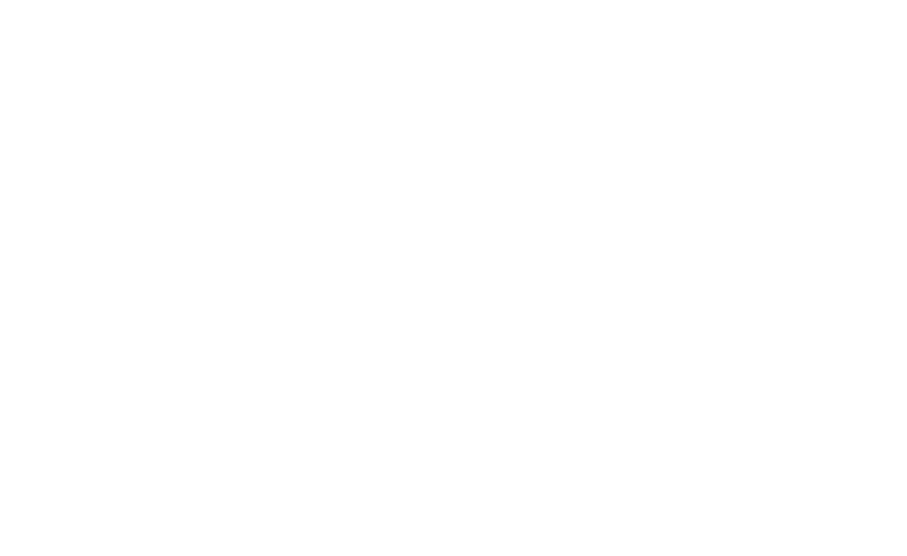 Actvitta